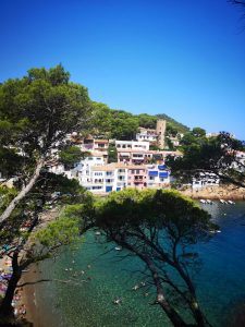 CALAS AIGUAFREDA Y SA TUNA