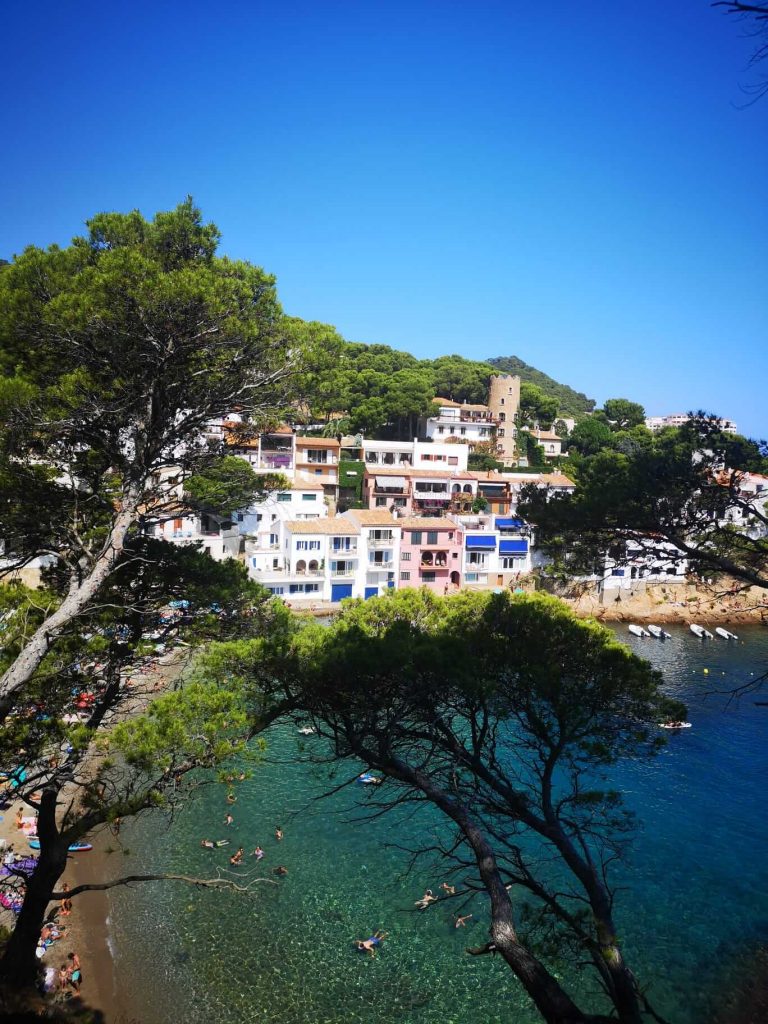 CALAS AIGUAFREDA Y SA TUNA