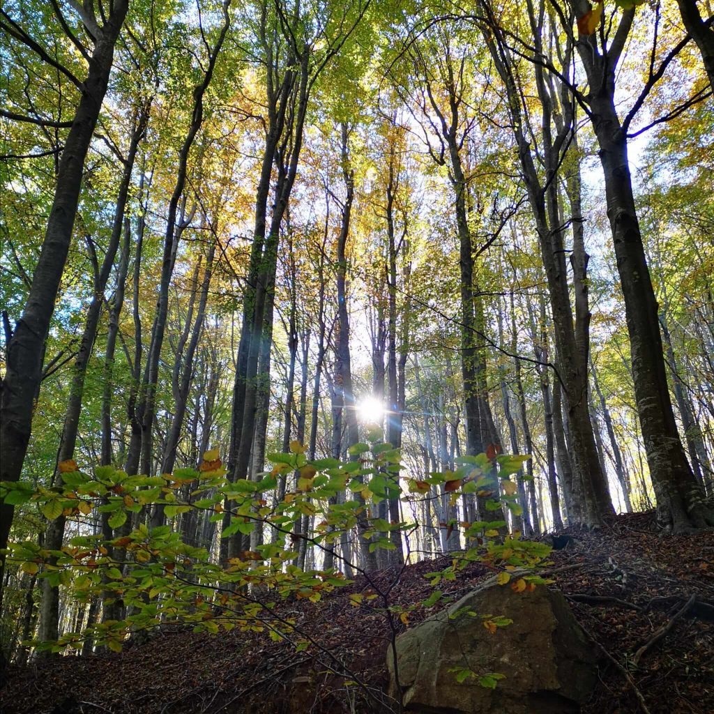 RUTA sANTA FE DEL MONTSENY